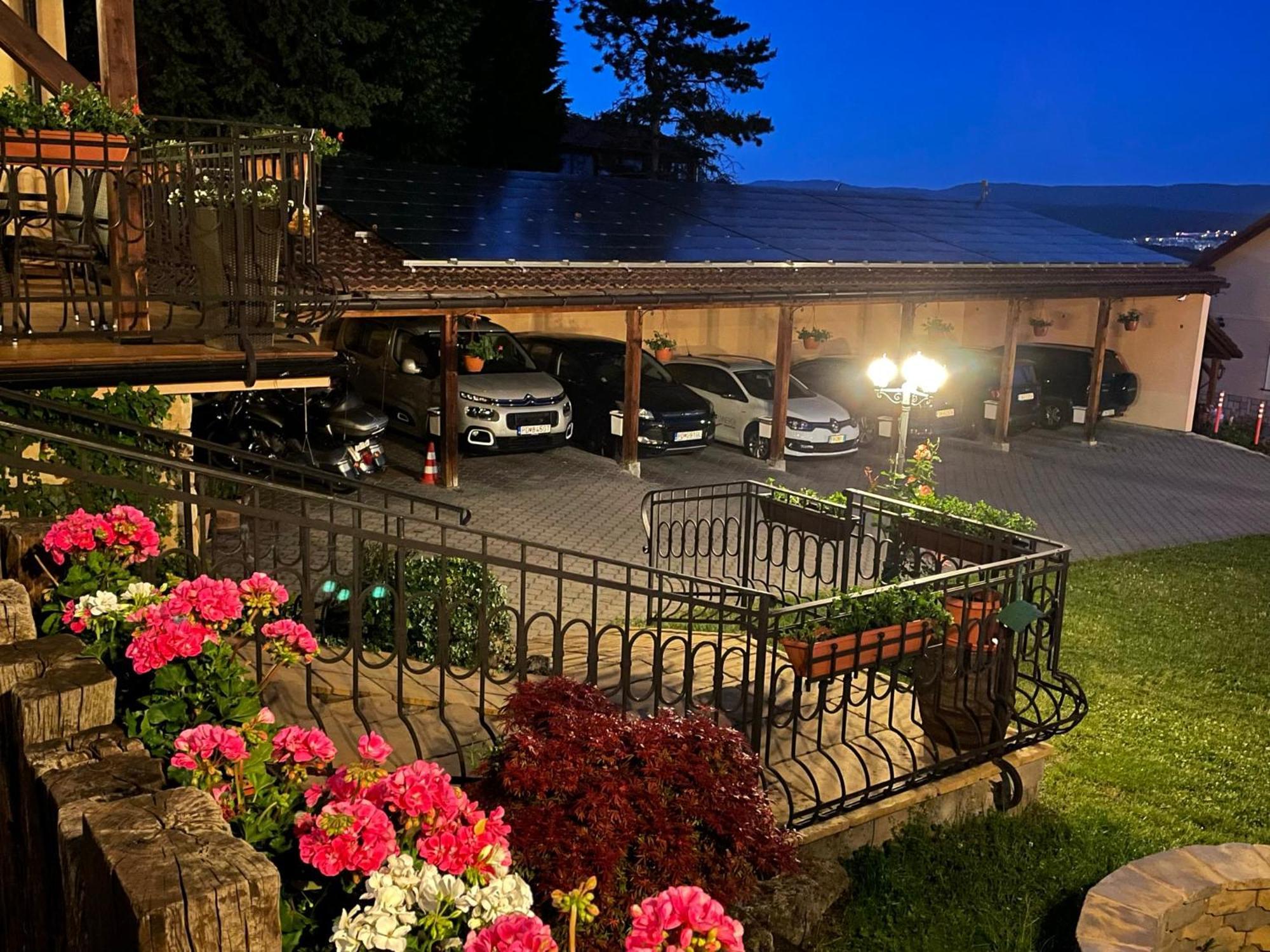 Hotel Lipa ボイニツェ エクステリア 写真